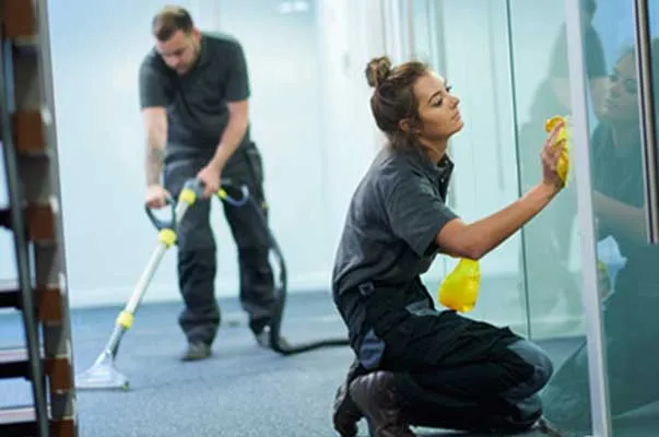 Servicio de limpieza profesional 15